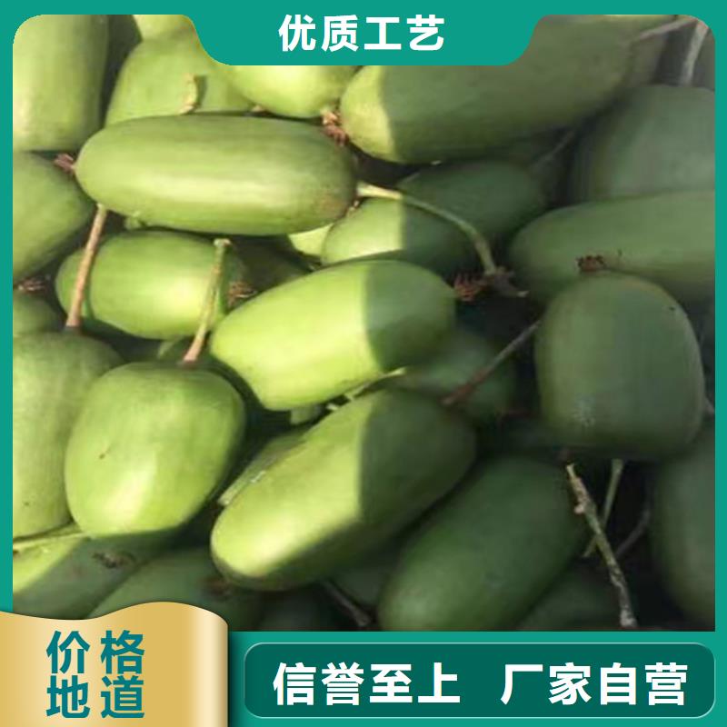 猕猴桃-苹果苗客户满意度高