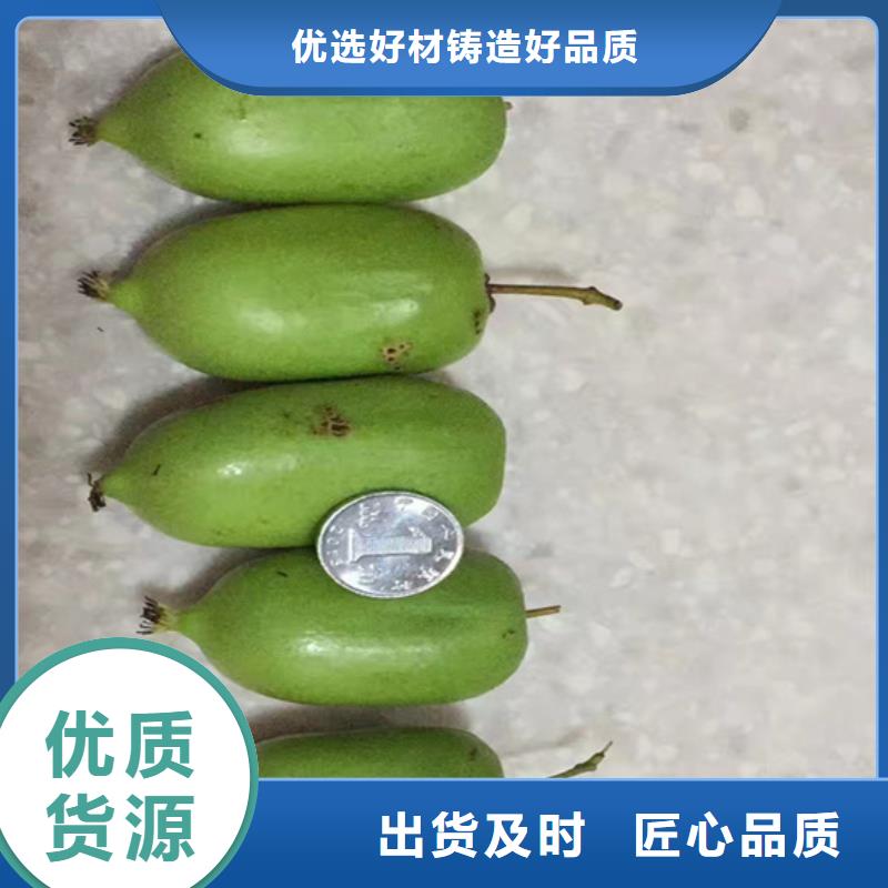 猕猴桃_桃树苗实体诚信厂家