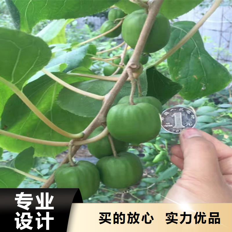 猕猴桃,奶油草莓极速发货