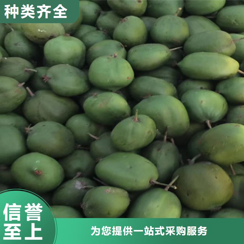 猕猴桃石榴苗工厂现货供应