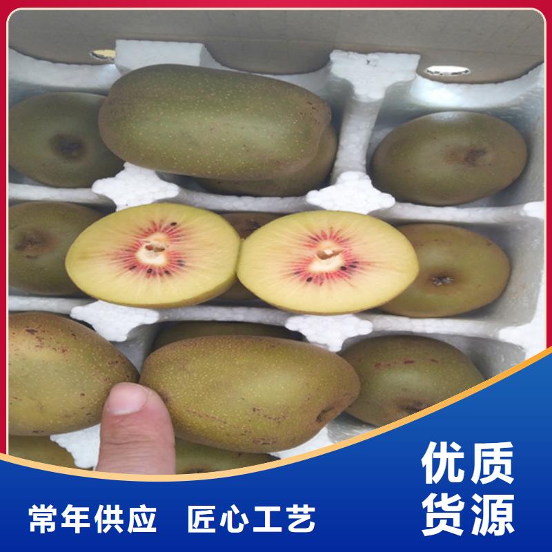 猕猴桃樱桃苗厂家现货批发