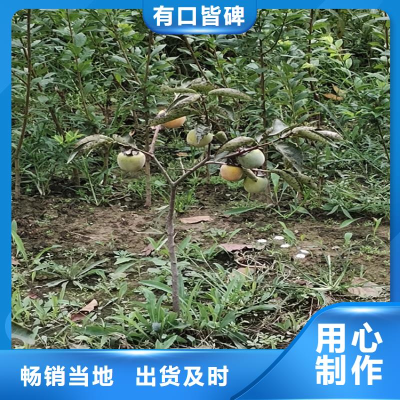 柿子_石榴树拒绝差价