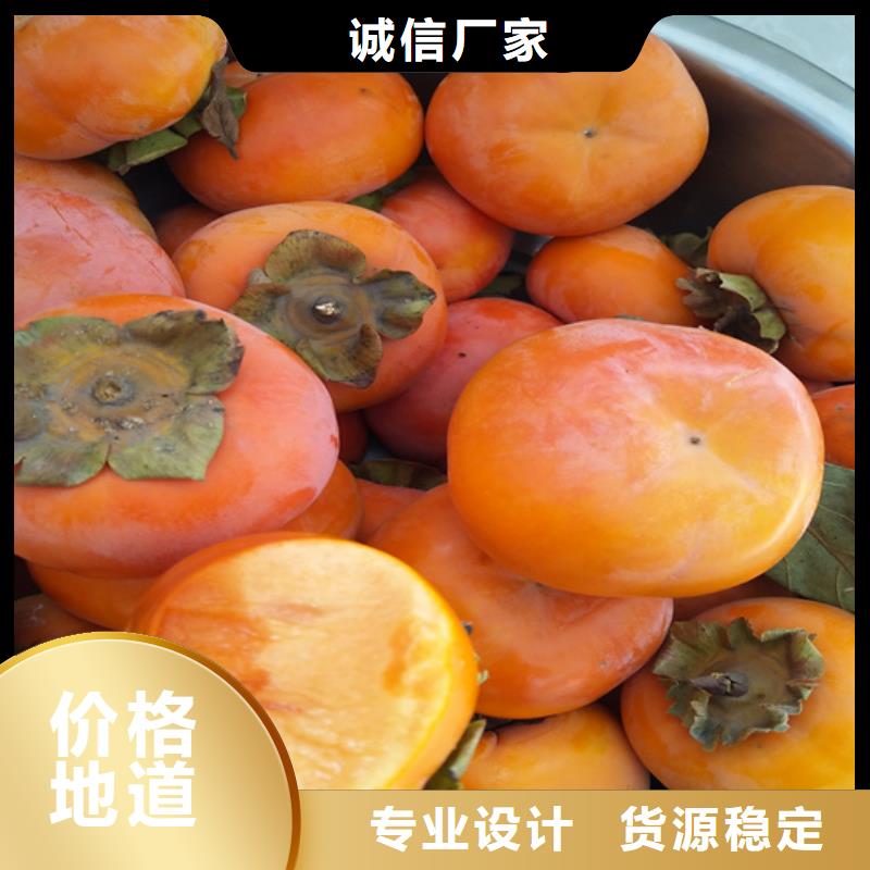 柿子苹果苗现货批发