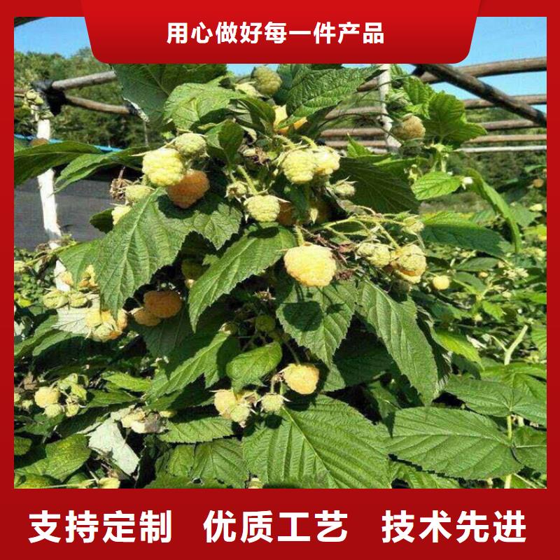 树莓红颜草莓严选好货
