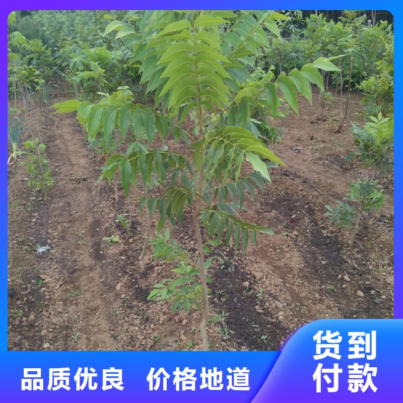 碧根果奶油草莓老品牌厂家
