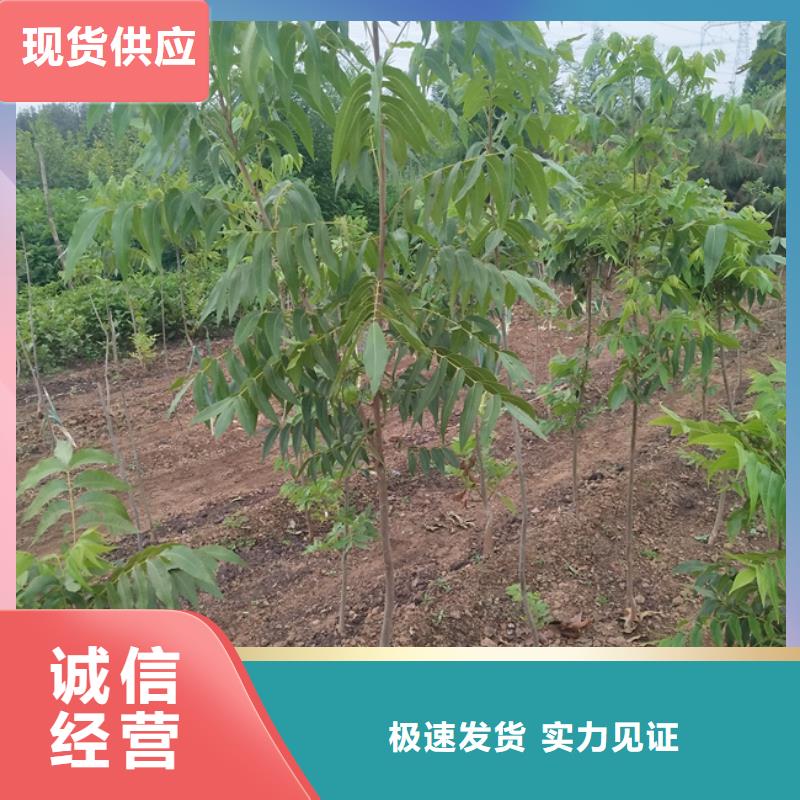 碧根果奶油草莓老品牌厂家