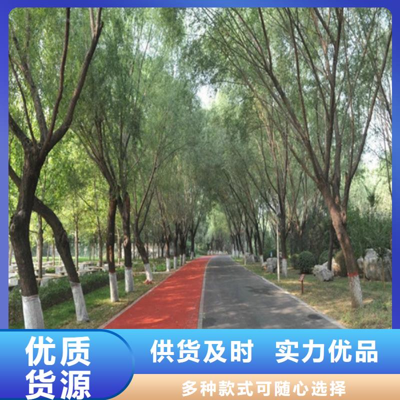 【健身步道_塑胶跑道厂家实力雄厚】