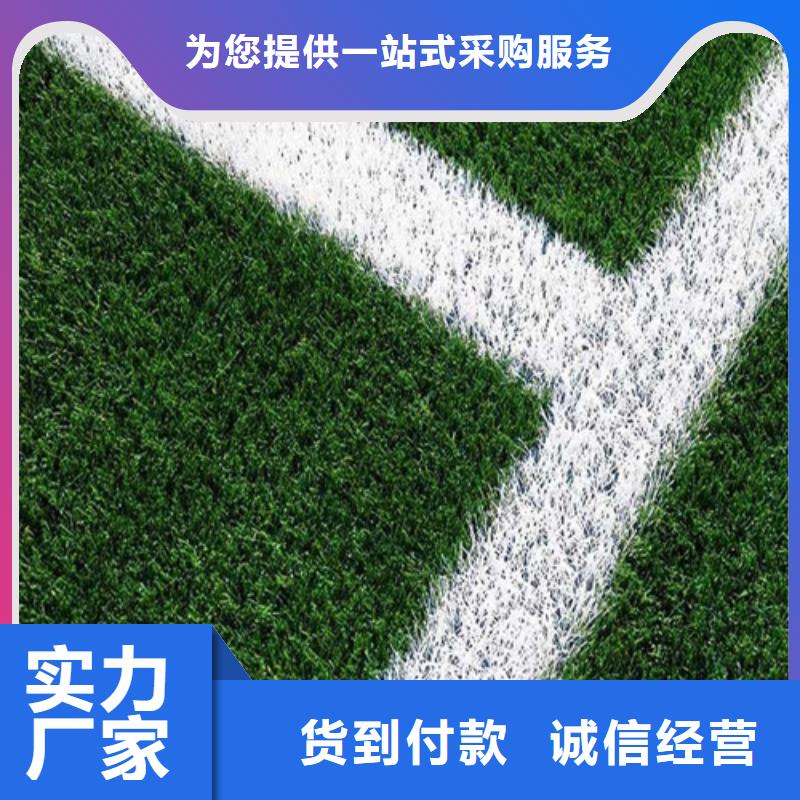 人造草坪 混合型塑胶跑道符合行业标准