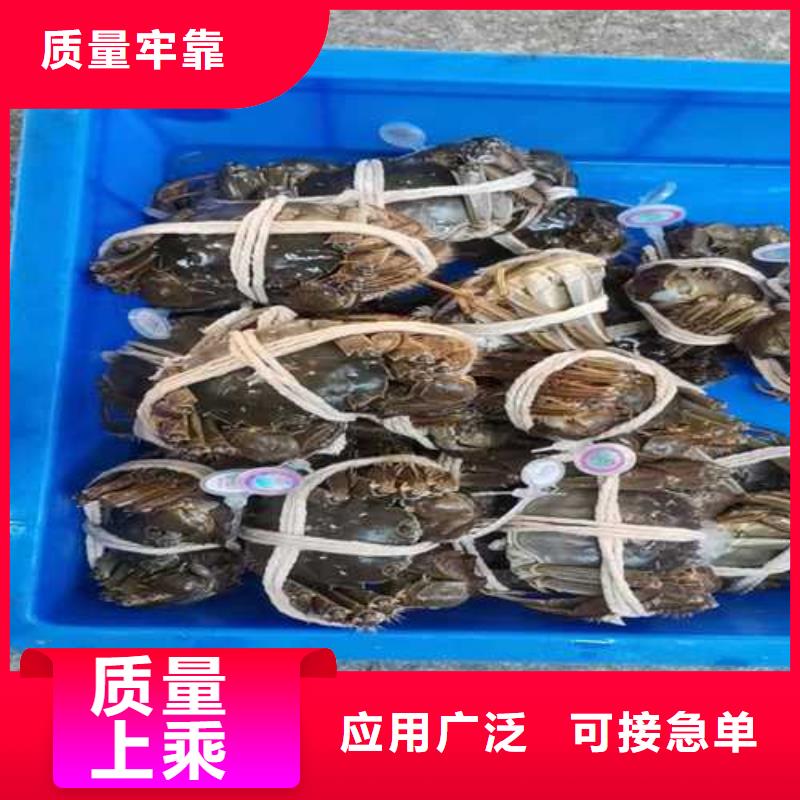 苏州阳澄湖农家乐哪家品质好味道好