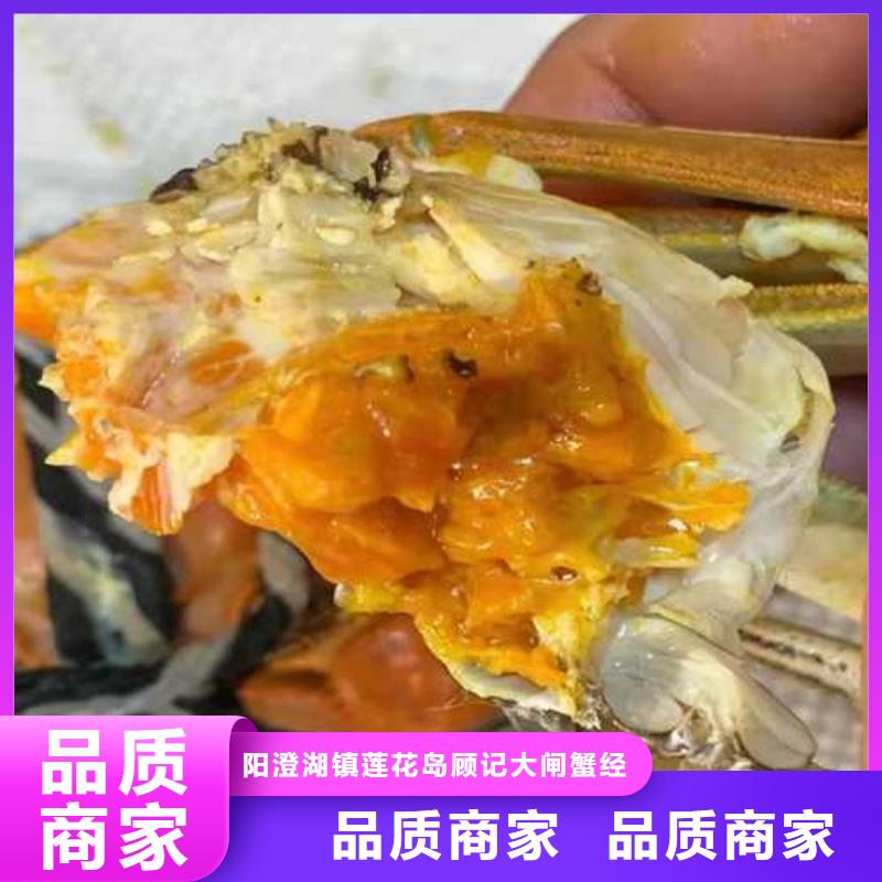 阳澄湖蟹哪里好苏州莲花岛顾记蟹庄