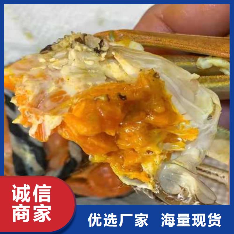 阳澄湖大闸蟹哪里好苏州这里好