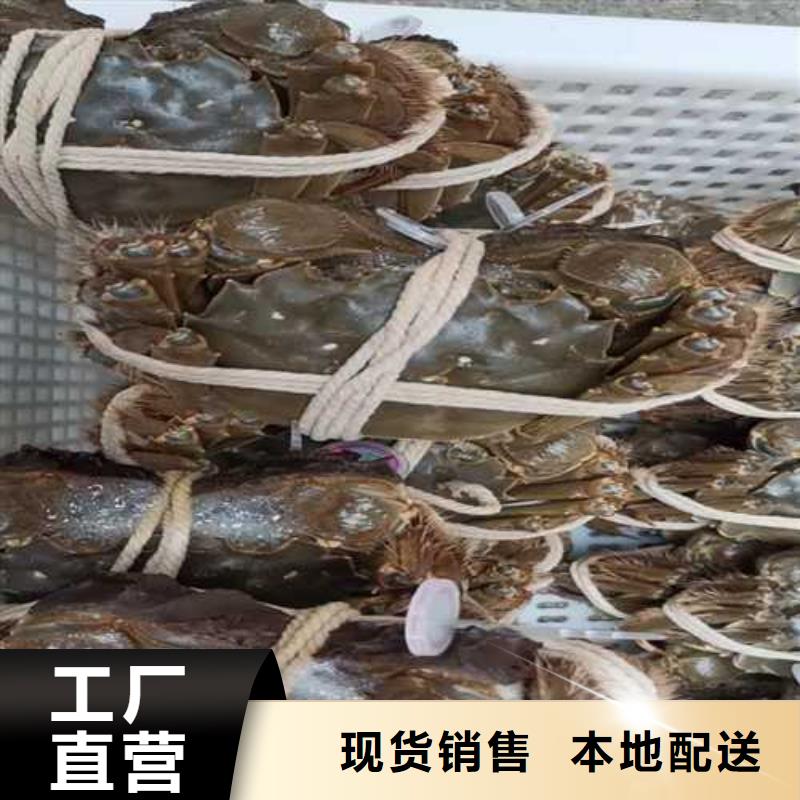 去阳澄湖买大闸蟹哪家正宗在苏州莲花岛