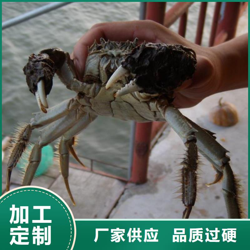 苏州阳澄湖大闸蟹哪家品质好味道好