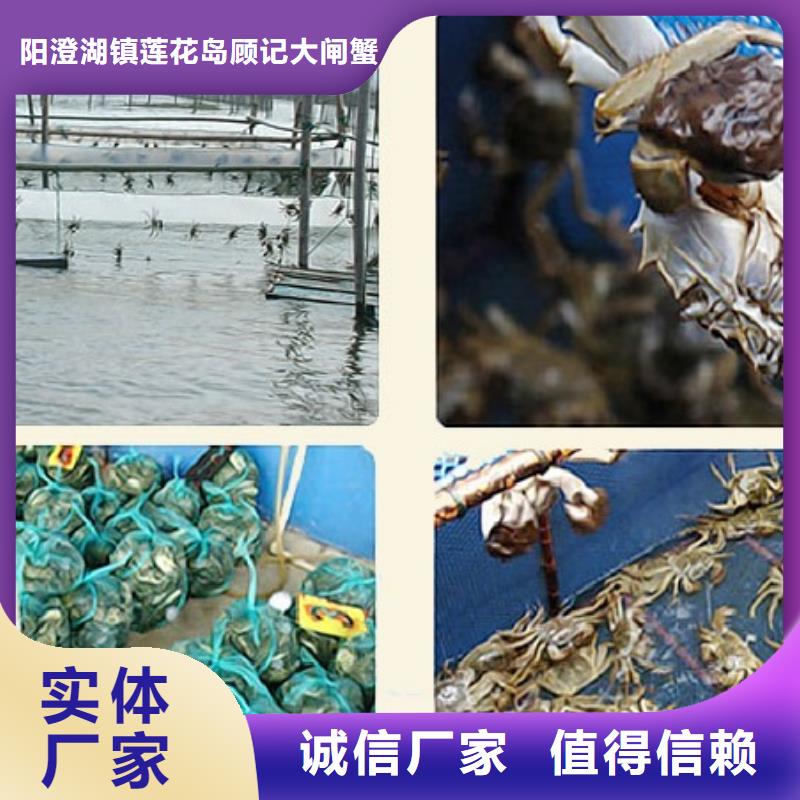 苏州阳澄湖大闸蟹哪家品质好味道好