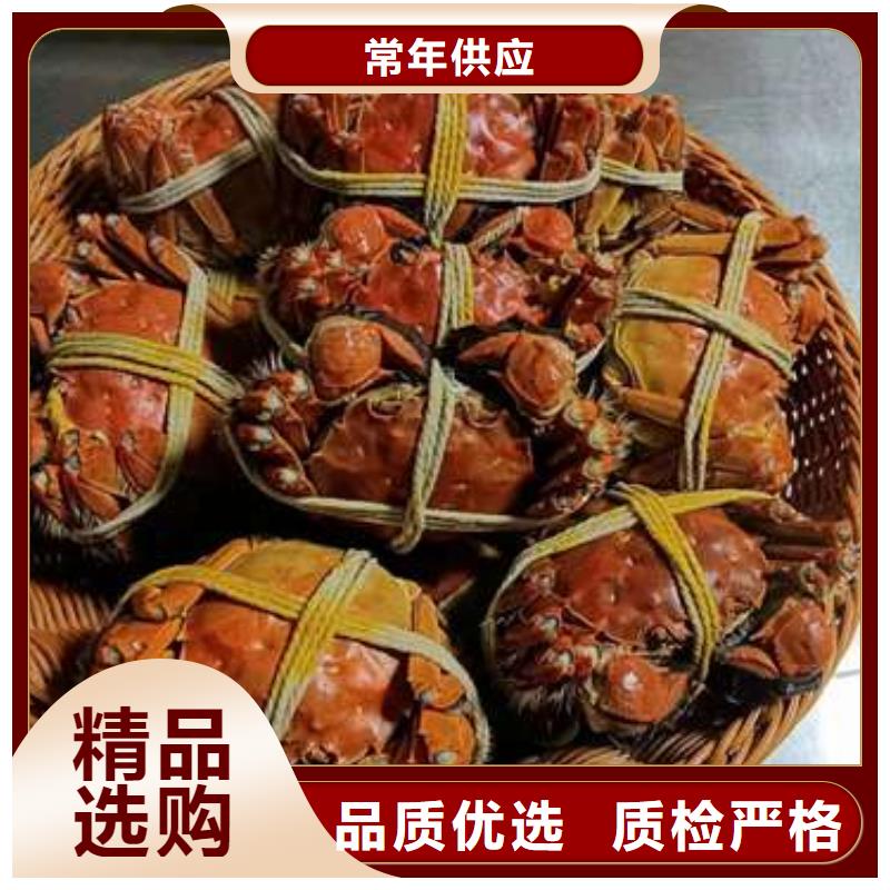 阳澄湖大闸蟹视频-阳澄湖大闸蟹|西藏那曲市|巴青|聂荣|阿里|山南|拉萨|林芝|日喀则|昌都
