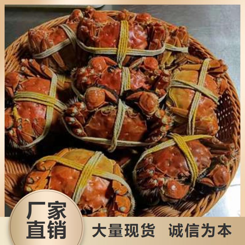 蟹阳澄湖大闸蟹批发店批发货源