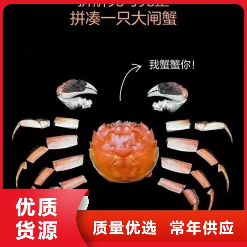 阳澄湖大闸蟹视频-阳澄湖大闸蟹_广东省广州市市场覆盖黄埔|增城|佛山|河源|惠州|茂名|中山|韶关等