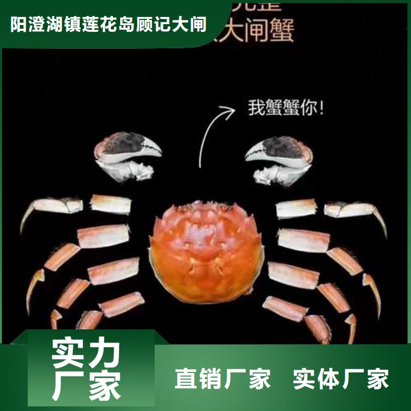顾记阳澄湖大闸蟹【 螃蟹_阳澄湖农家乐库存齐全厂家直供】cg39.com
