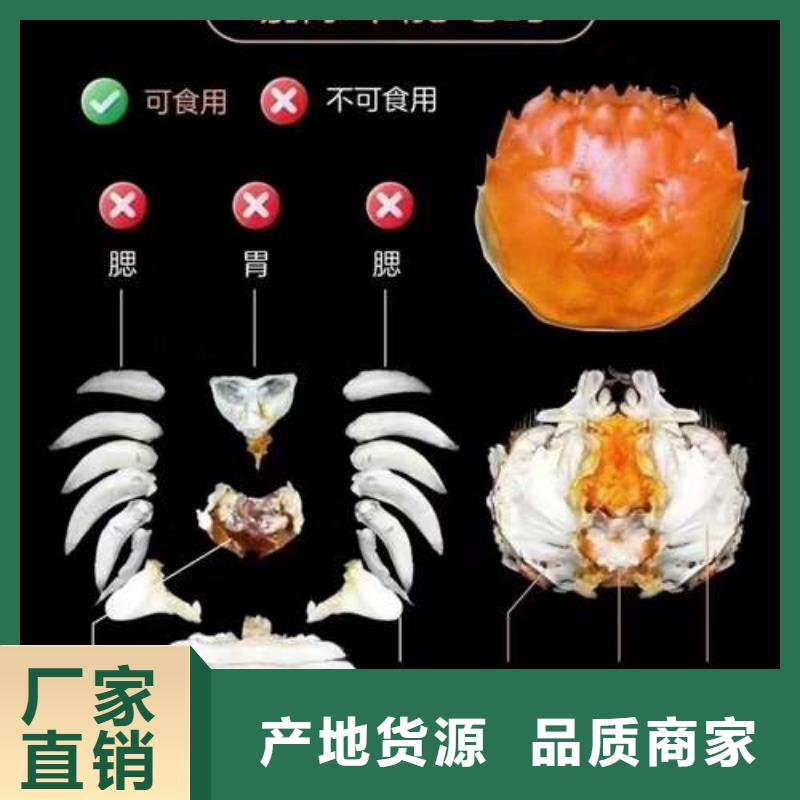蟹-阳澄湖大闸蟹到哪里买免费询价