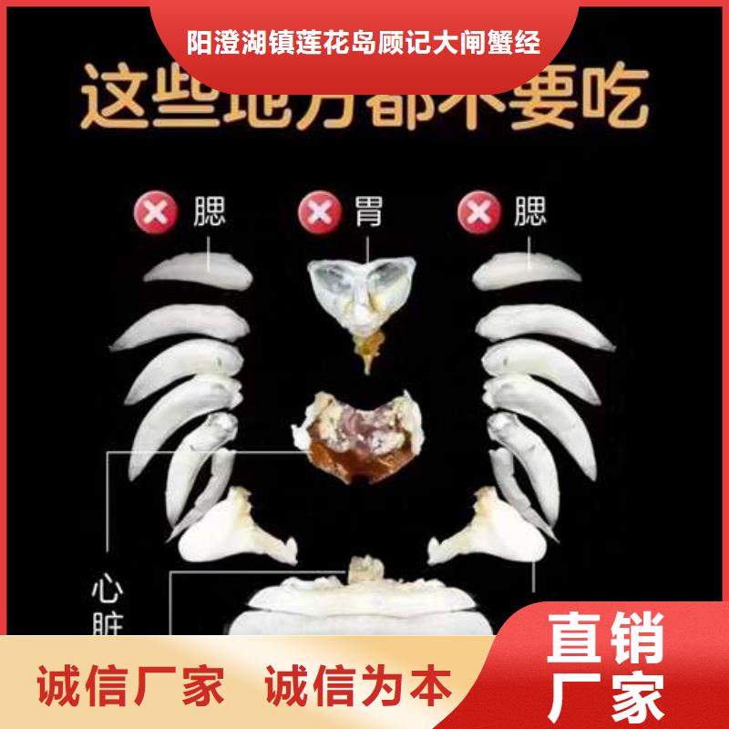 蟹阳澄湖大闸蟹多少重量品牌企业