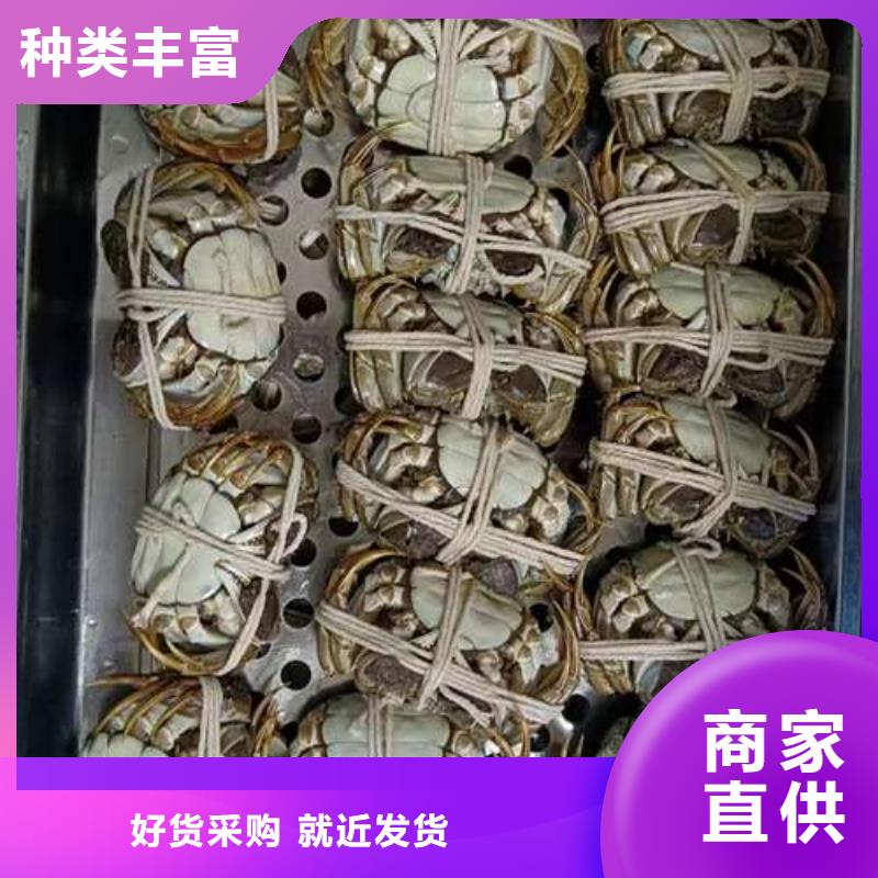 蟹阳澄湖大闸蟹礼盒分类和特点