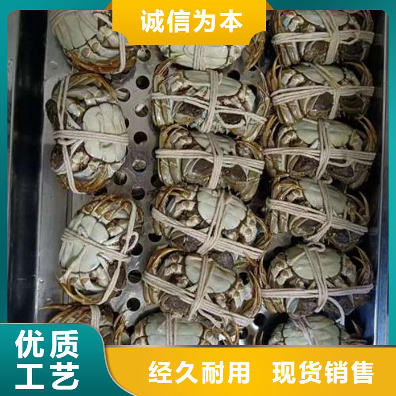 蟹,近的阳澄湖大闸蟹销售点国标检测放心购买