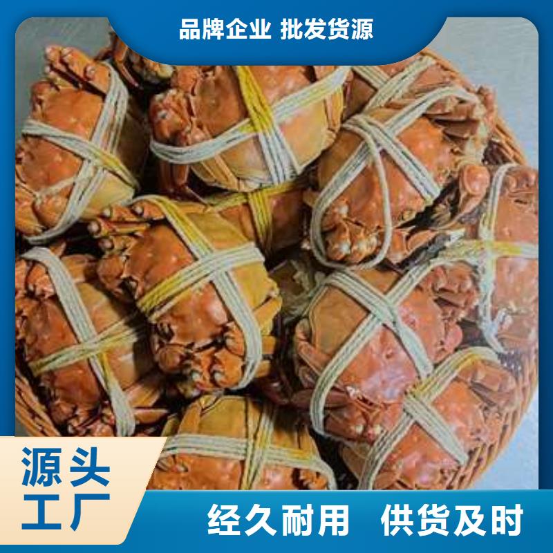 【 螃蟹-阳澄湖大闸蟹订购品质优选】 阳澄湖镇岛顾记大闸蟹经营部(平凉市分公司)