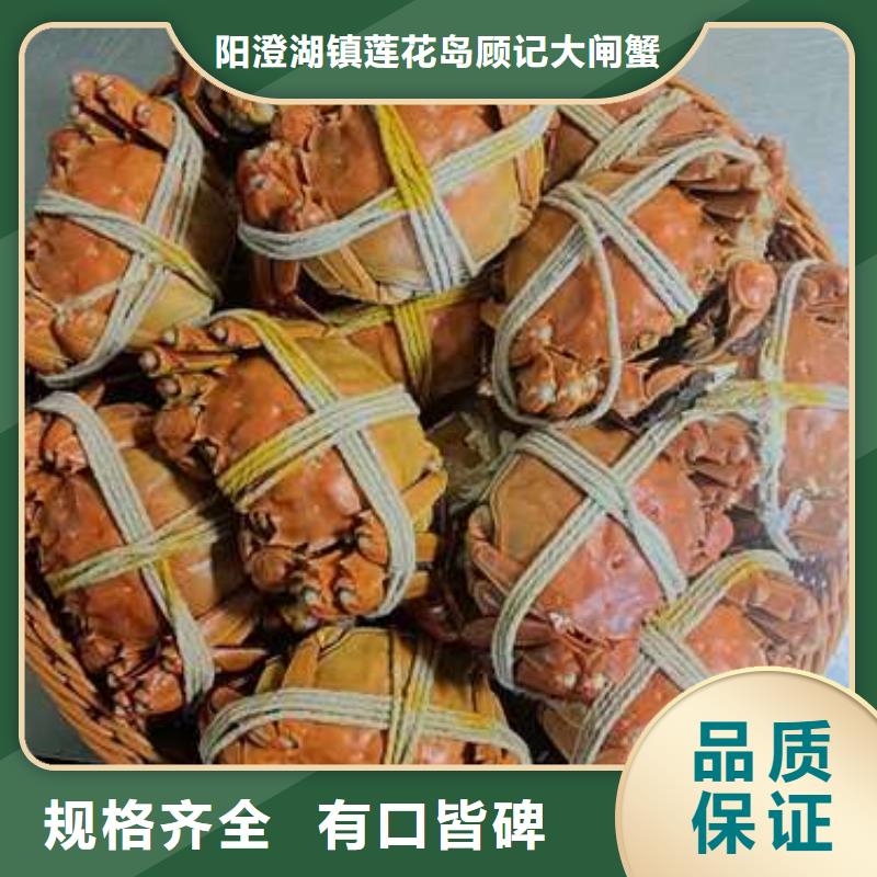阳澄湖大闸蟹视频-阳澄湖大闸蟹-甘肃省平凉市【当地】厂家-泾川|静宁|甘南|武威|陇南|嘉峪关|临夏|张掖|金昌
