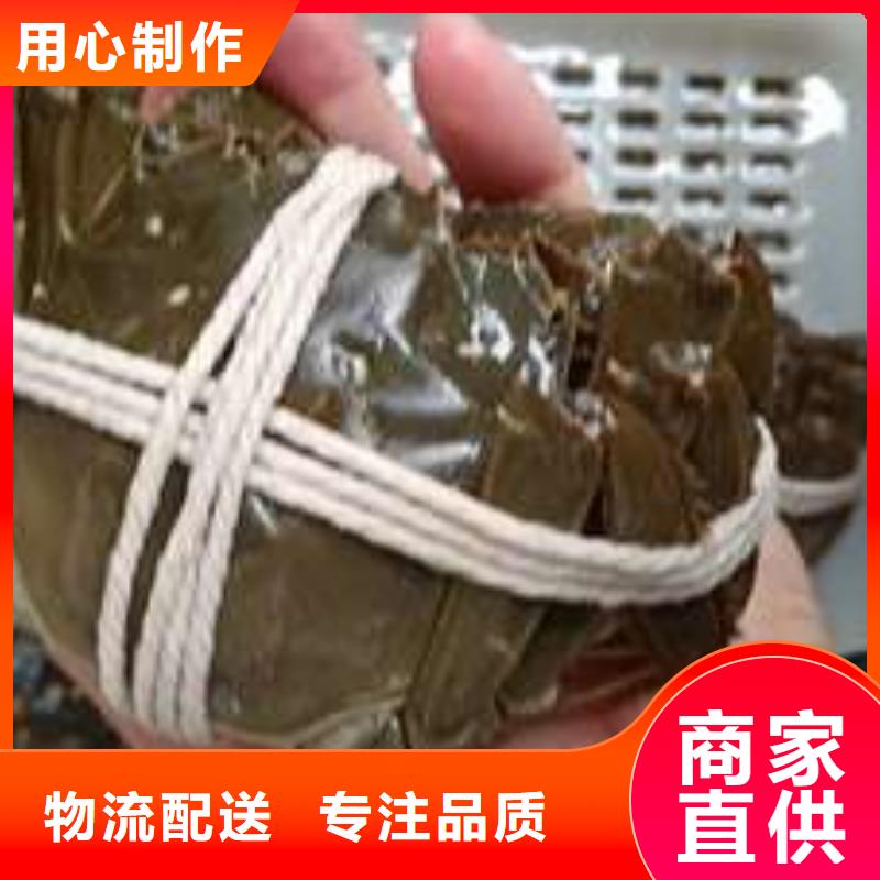 蟹阳澄湖大闸蟹直营店规格齐全