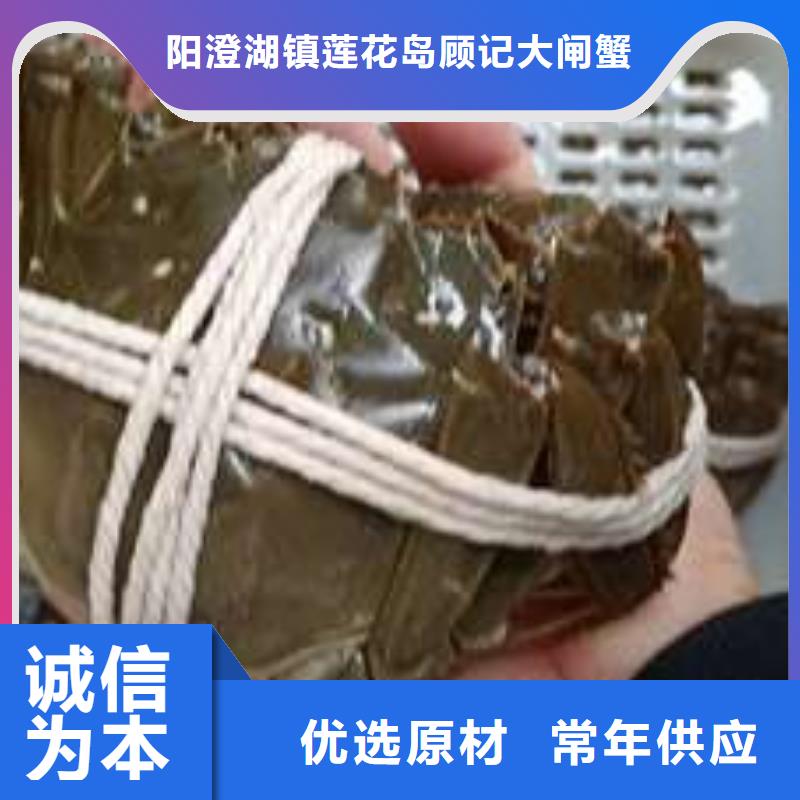 阳澄湖大闸蟹视频-内蒙古包头市|赤峰|呼伦贝尔|呼和浩特|通辽|鄂尔多斯阳澄湖大闸蟹-顾记