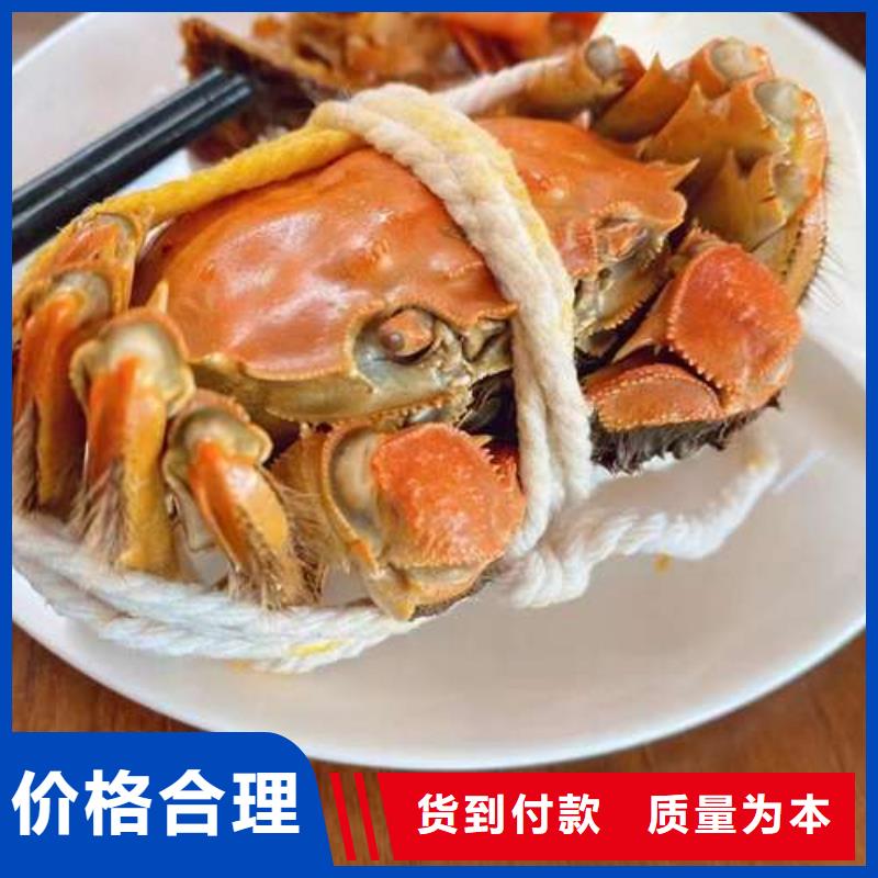 阳澄湖大闸蟹视频-郴州|岳阳|益阳|娄底|怀化|株洲|湘西阳澄湖大闸蟹多种规格可选-阳澄湖镇岛顾记大闸蟹经营部(湖南省分公司)