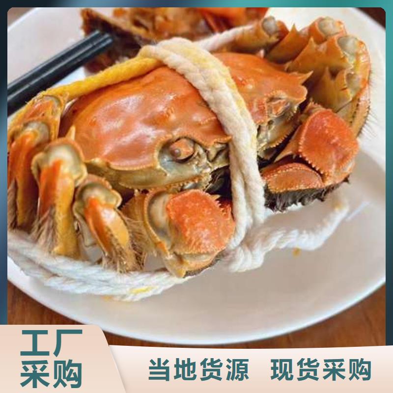 阳澄湖大闸蟹视频-阳澄湖大闸蟹-陕西省汉中市南郑|汉台|宝鸡|铜川|西安|延安|安康|榆林|咸阳该地生产商