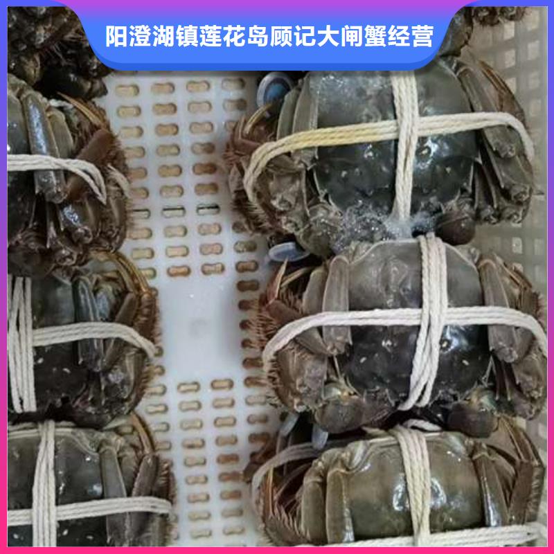 蟹阳澄湖大闸蟹哪个品牌正宗层层质检