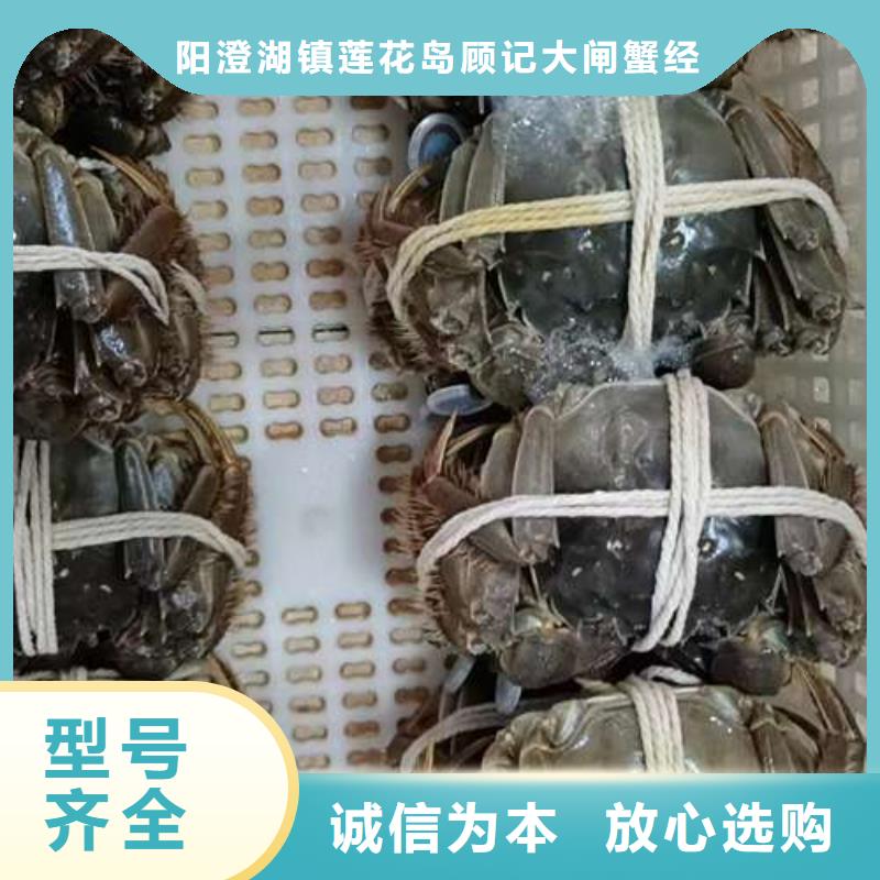 蟹_阳澄湖大闸蟹哪个品牌正宗大量现货