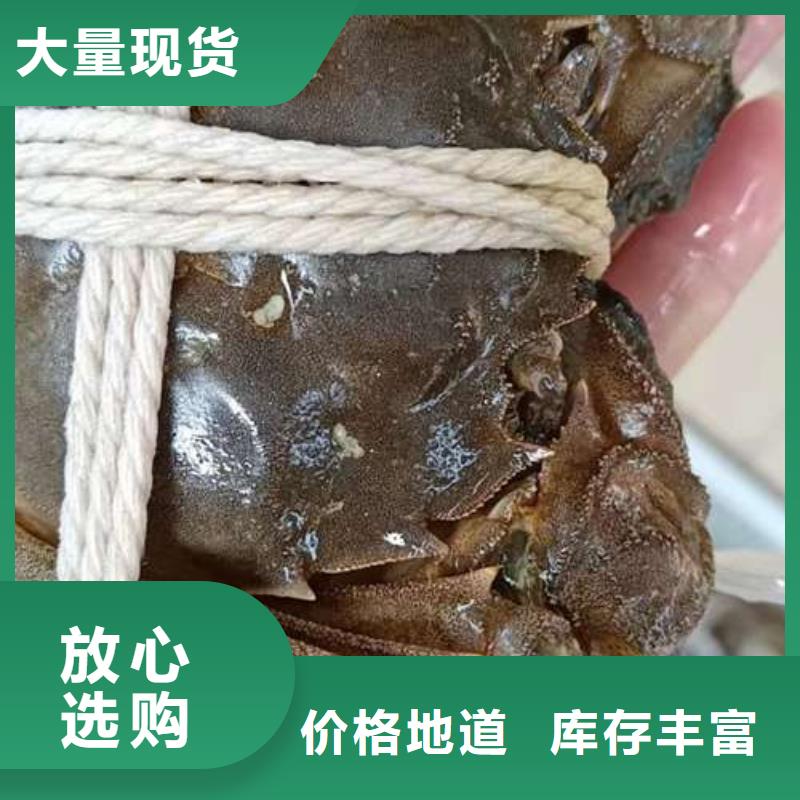 【 螃蟹-阳澄湖大闸蟹行业优选】-阳澄湖镇岛顾记大闸蟹经营部(晋中市分公司)