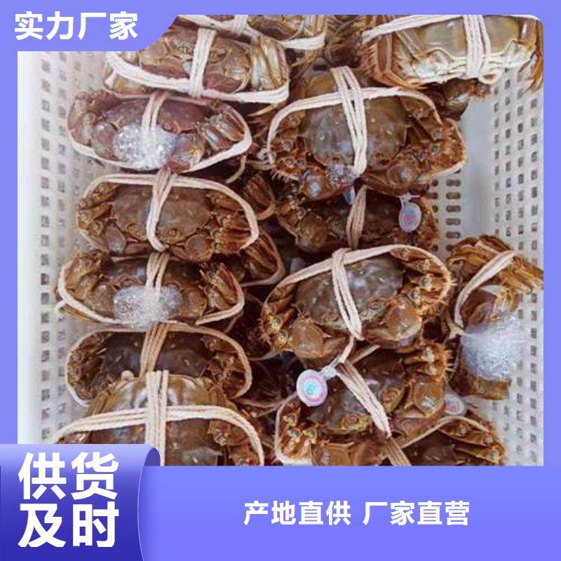 蟹_阳澄湖大闸蟹网购原料层层筛选