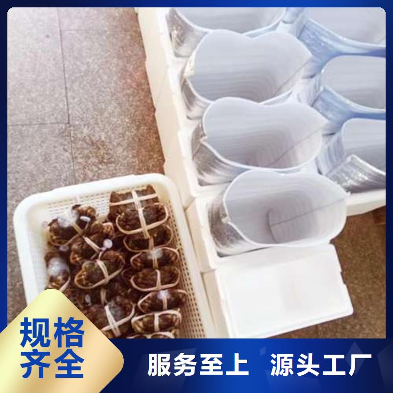 蟹阳澄湖大闸蟹哪个品牌正宗一站式采购商家