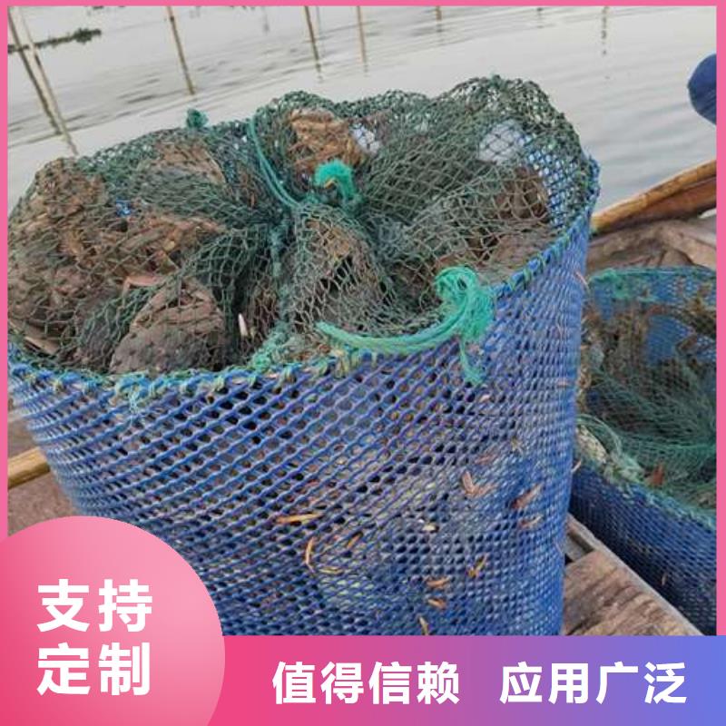 蟹阳澄湖大闸蟹中秋送礼现货