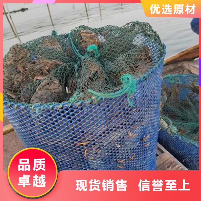 蟹阳澄湖大闸蟹多少重量诚信商家服务热情
