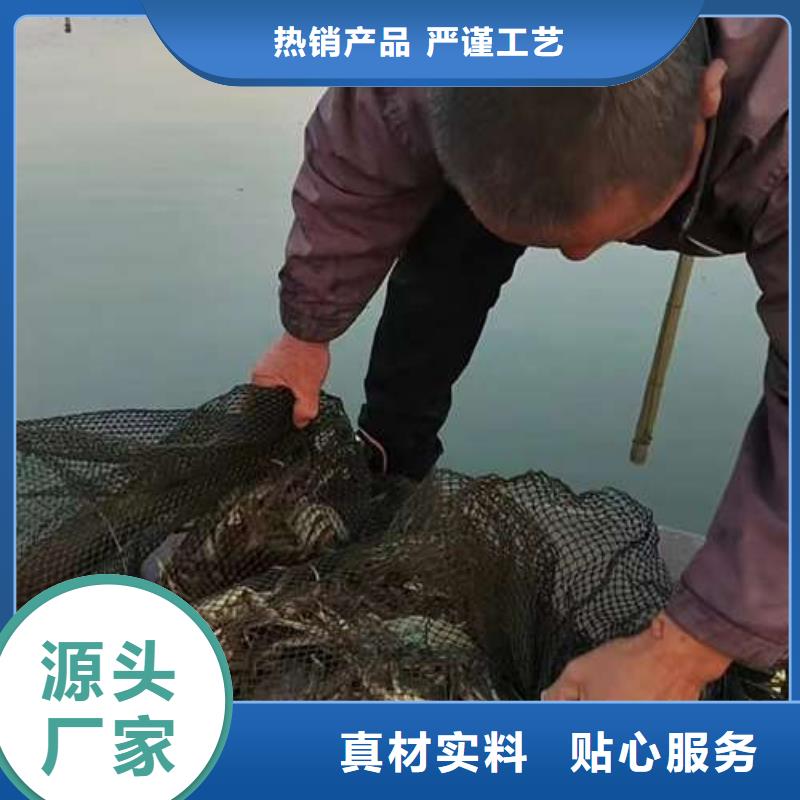 蟹-阳澄湖大闸蟹网购品牌大厂家