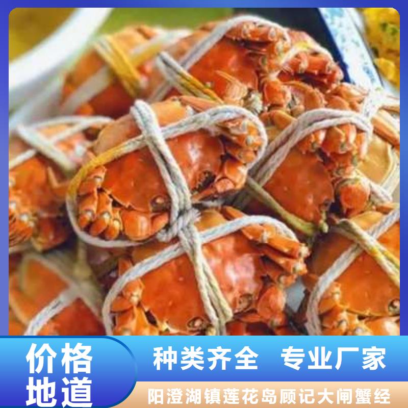 蟹阳澄湖大闸蟹哪个品牌正宗款式多样