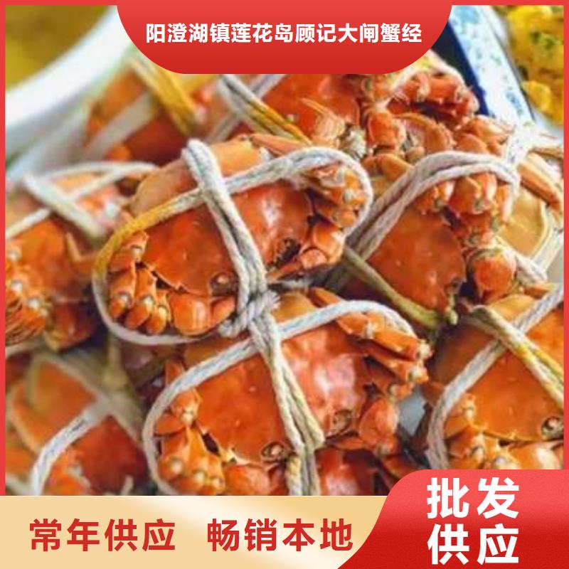 顾记阳澄湖大闸蟹【 螃蟹_阳澄湖农家乐库存齐全厂家直供】cg39.com