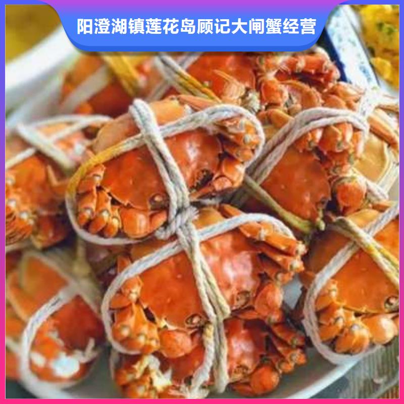 蟹-阳澄湖大闸蟹到哪里买您身边的厂家