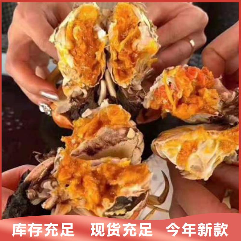 顾记阳澄湖大闸蟹【 螃蟹阳澄湖大闸蟹团购按需定制真材实料】cg39.com