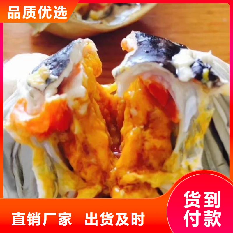 蟹阳澄湖大闸蟹网购可放心采购