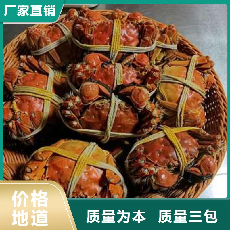 蟹,阳澄湖大闸蟹直营店畅销本地