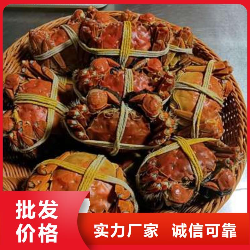 【 螃蟹-阳澄湖大闸蟹订购品质优选】 阳澄湖镇岛顾记大闸蟹经营部(平凉市分公司)