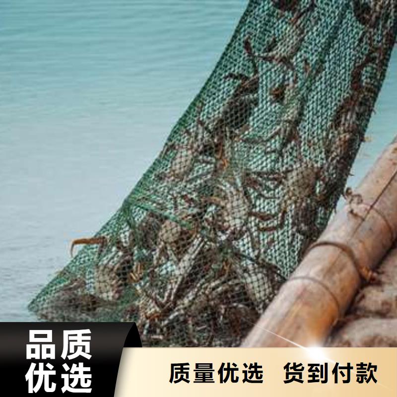 蟹阳澄湖大闸蟹到哪里买厂家批发价
