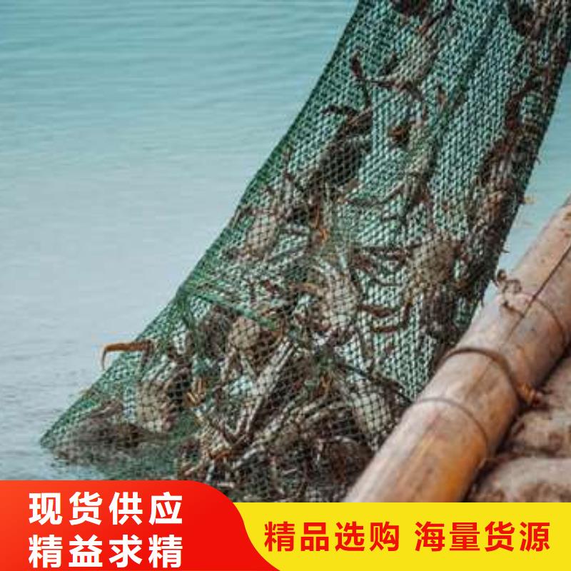 阳澄湖大闸蟹_河南省洛阳市市场覆盖栾川|汝阳|焦作|许昌|平顶山|安阳等