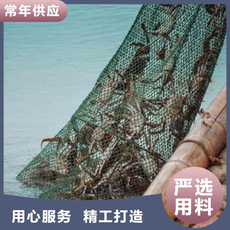 蟹_阳澄湖大闸蟹网购极速发货